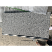 Carreaux de granit noir de sésame naturel de Chine G654 24 ''x 12''