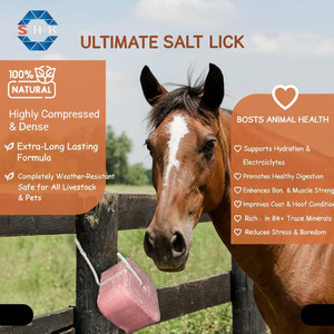 Bloque de Sal Mineral Medicada para Animales, Bloques de Sal para Ganado, Cabras, Ovejas y Vacas, Minerales de Grado Alimenticio, Oligoelementos Promotores - Product Image 2