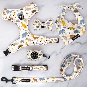 Harnais de luxe pour chien, motif cœur et patte, boutique pour animaux de compagnie, couverture d'hiver chaude pour chien, couverture de Noël, logo personnalisé, collier et laisse réglables pour animaux de compagnie - Product Image 6