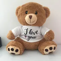 Miễn Phí Mẫu Tùy Chỉnh Cá Nhân Hoá Nhồi Bông Plush Teddy Bear Với T Áo Sơ Mi/CE CPSIA Plush Teddy Bear Đồ Chơi Với Logo In/Đồ Chơi Gấu