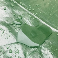 Tissu imperméable transparent vert de couverture de camion de bâche de PVC/PE du fabricant de la Chine avec le modèle enduit pour des garçons et des filles