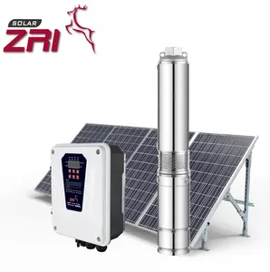 Zri 2 Hp 4 Inch 12 Volt Ac Goed Dompelpompen Solar Boorgat Waterpomp Systeem