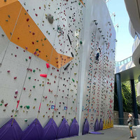 Mur d'escalade intérieur multifonctionnel sûr et stable de haute qualité pour enfants et adultes