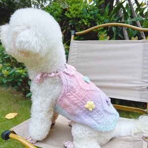 Pull pour chien, couleurs dégradées, gilet en tricot Argyle pour Teddy Bichon Devon Sphynx, vêtements pour chats, à porter en quatre saisons - Product Image 2