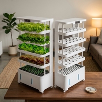 Système de culture hydroponique verticale intelligent pour légumes, sans sol, à usage domestique, multi-niveaux, pour la culture de semis avec arrosage intégré