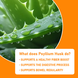 Lower MOQ Natural Fiber Boost Capsules Healthy Digestion Dietary <b>Supplement</b> Balance Gut Flora Psyllium Husk Powder Capsules - Product Image 4