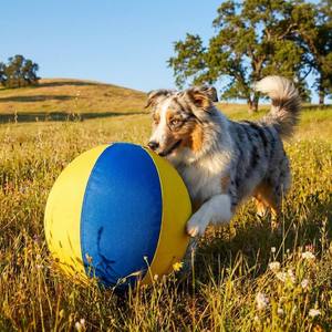 Pelota Indestructible para Pastoreo de Perros con Cubierta de Nailon Balístico 1680D, Pelota de Entrenamiento Resistente para Perros Grandes y Border <span class=keywords><strong>Collie</strong></span> - Product Image 4