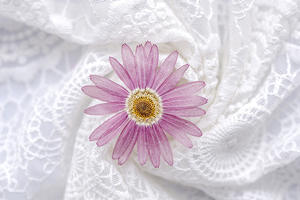 Marsey — Scrapbooking en résine époxy, résine naturelle, écologique, vraies fleurs pressées, DIY bricolage - Product Image 2