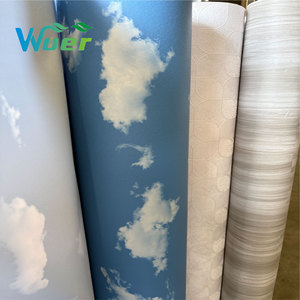 Película de PVC Decorativa para Techos de Yeso, Diseño Moderno 3D de Cielo Azul y Nubes Blancas, Uso en Hoteles, Venta Caliente en China - Product Image 4