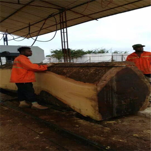 Smooth‑running MJ3000 Large Log Band Sawmill Wide Band Saw Mill - Product Image 4