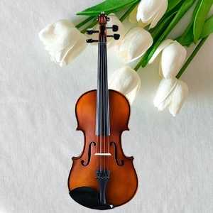 <span class=keywords><strong>Viola</strong></span> de arce de madera maciza profesional, juego de tamaño completo, grado principiante, niños, adultos, <span class=keywords><strong>11</strong></span>-15,5-16,5 pulgadas, instrumento de práctica para adultos - Product Image 6