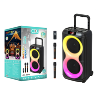 Speaker Pesta Luar Ruangan 50W 5.3 Tipe C Pengisian Daya Ganda 8 Inci dengan 2 Mikrofon Nirkabel RGB LED TWS FM USB Remote