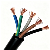 Câble multiconducteur personnalisé 0,5 mm²-2,5 mm² non blindé, fil flexible pour systèmes d'alarme de sécurité et d'interphone