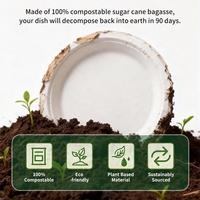 Assiettes jetables personnalisées en bagasse, écologiques, biodégradables et compostables, robustes, pour desserts, fêtes et mariages