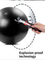 Ballon de yoga anti-éclatement Shinho pour l'entraînement d'équilibre et de Pilates, 45/55/65/75/85 cm, pour la thérapie et l'exercice, avec certification EU PPWR REACH
