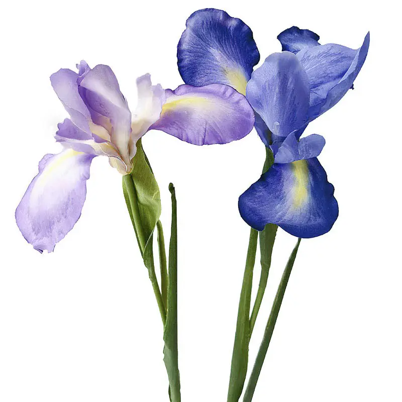 Amazing color big sale iris in blue like real color nature stem artificial silk flower lovely purple for wedding