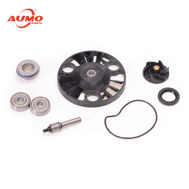 Запчасти для водяного насоса для мотоцикла, набор для ремонта водяного насоса для APRILIA ATLANTIC 125 200 PIAGGIO Беверли X8/9