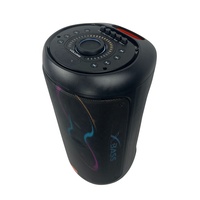 Enceinte karaoké double 6,5 pouces avec microphone sans fil, batterie rechargeable intégrée 60W, lumières LED RGB pour utilisation en extérieur et en soirée