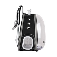Sac à dos de transport pour chat et chien extensible, respirant, en maille, portable, toutes saisons, voyage, randonnée, camping, extérieur