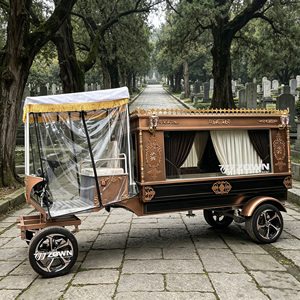 Carroza Fúnebre Artesanal Noble con Acabado Pulido para Transporte en Grandes Rituales Conmemorativos - Product Image 1