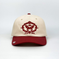 Chapeau de papa en détresse personnalisé logo de broderie 3D motifs de fruits à pois brodés à la main 6 panneaux tissu en popeline Oxford de style Dobby