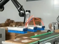 Robot Paletizador Colaborativo de Fácil Programación, Equipo de Apilamiento de Cajas y Bolsas Accionado por Servomotores
