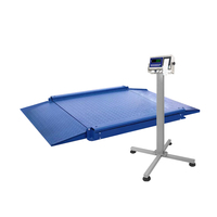 Balance au sol à double pente ultra-basse SOHE A8SP 5T en acier au carbone avec affichage LED, personnalisable OEM/ODM – Meilleures ventes