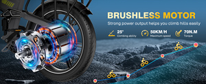 KOOLUX Nuevo Diseño Bicicleta Plegable de 20 Pulgadas 48v 750w con Marco de Acero para Adultos BK10 PRO 48V 15AH Bicicleta Eléctrica Moto - Product Image 4