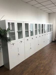 医院钢制文件柜带锁现代设计四钢门可调节搁板粉末涂层金属 - Product Image 4