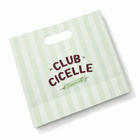 Sac en papier vert clair rayé avec poignée découpée, en carton blanc, pour vêtements, vente au détail, échantillons de beauté, emballage cadeau, directement de l'usine