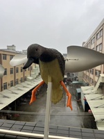 Décoy de canard réaliste à activation par le vent avec grandes ailes battantes pour la chasse, en plastique PE imperméable, idéal pour les marais