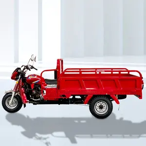 600KG di caricamento 3 ruote moto 200cc triciclo Cargo moto 65 km/h tre ruote Cargo moto