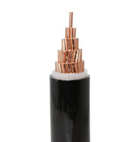 Kabel Daya LV 1-Core YJY NY2Y USE-2 1.5-630mm dengan Isolasi XLPE dan Konduktor Tembaga untuk Penggunaan Konstruksi Industri Bawah Tanah