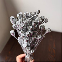 Echte Getrocknete Gold- und Silber-Mohnblumen 40 Gramm pro Bündel für Blumenarrangements zu Hause und DIY-Hochzeitsdekorationen