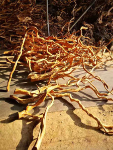 ตู้ปลาธรรมชาติจากประเทศไทย,กิ่งไม้ในตู้ปลาดริฟต์วูดสำหรับตู้ปลา - Product Image 5