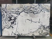 Dalles et plaques de pierre en quartzite, granit et marbre blanc Picasso à veines noires sur base blanche naturelle