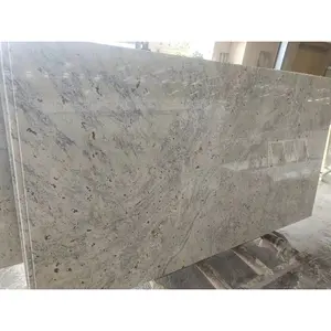 Great Color Polished White Fantasy Granite Stone for Countertop