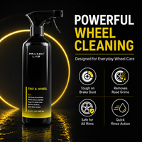 Nettoyant pour roues et pneus pour les laveries automobiles et les ateliers de detailing, flacon pulvérisateur, OEM ODM, étiquette privée, approvisionnement en gros