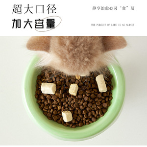 Cuencos de cerámica para gatos, cuencos para mascotas, cuencos para helado, cuencos elevados con borde inclinado, cuencos para comida de gatos que protegen el cuello y evitan que se vuelque, cuencos para agua. - Product Image 5