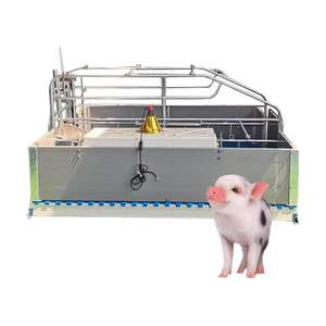 Jaulas de Paridera Tipo Europeo Duraderas con Comederos para Cerdos - Product Image 4