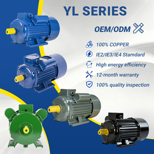 Moteur asynchrone monophasé YL100L1-4 2,2 kW 1450 tr/min 220 V/240 V - Product Image 3