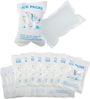 Pack de glace sèche en gel pour glacière alimentaire jetable en plastique personnalisable avec logo, feuille de congélation avec logo pour boîte à lunch