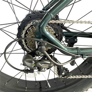 Scooters eléctricos <span class=keywords><strong>3000</strong></span> vatios bicicleta eléctrica de la bici, motor medio ciclo del motor eléctrico adulto de la grasa de la bici, motor de la bicicleta eléctrica de 8000 vatios - Product Image 5