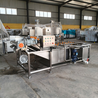 Continue bubbelwasmachine voor groenten en fruit voor automatische voedselverwerkingslijn