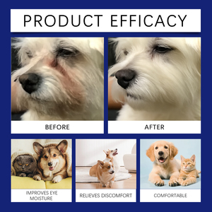 Gouttes oculaires pour animaux de compagnie : Soulagent l'inconfort, hydratent et apaisent. Ingrédients naturels non irritants. - Product Image 6