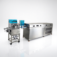 Nouvelle machine d'enrobage automatique de chocolat PAPA de petite taille et ligne de production de tempérage et de recouvrement de 200 mm, 220 V, garantie 1 an