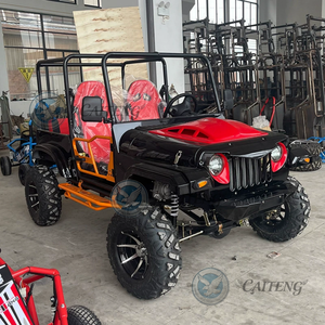 Mini jeep tout-terrain 300cc 350cc 500cc 4x4, mini buggy à essence, buggy des dunes, jeep 4x4, mini jeep électrique, buggy à pédales pour adulte - Product Image 2