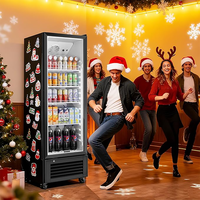 Réfrigérateur commercial OUMEITE avec porte vitrée, 9,5 pi³ / 270 L, refroidisseur de boissons vertical avec éclairage LED