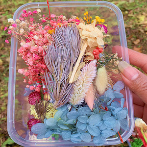 Preserved Eterna Epoxy Resin Pendant Necklace Craft Diy Floral 1 Box Natural <strong>Dried</strong> Flower Dry <strong>Plant</strong> for Aromatherapy Candle - Product Image 1