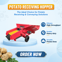 Automatische voedingsbuffertank voor aardappelverwerking met zandverwijderende roller voor de productielijn van frites